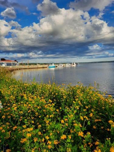 Willow House Inn B&B Pictou Luaran gambar